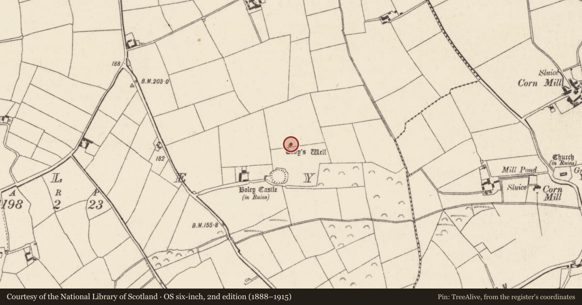 Ordnance Survey six-inch map, 2nd edition (1888–1915) covering the location of Ritual site - holy well, Boley, County Wexford, with a pin at the register's coordinates