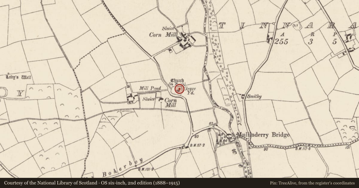 Ordnance Survey six-inch map, 2nd edition (1888–1915) covering the location of Church, Yoletown, County Wexford, with a pin at the register's coordinates
