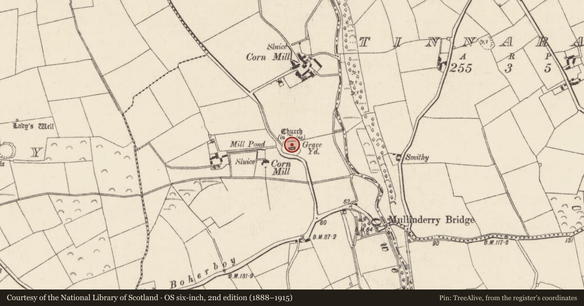 Ordnance Survey six-inch map, 2nd edition (1888–1915) covering the location of Graveyard, Yoletown, County Wexford, with a pin at the register's coordinates