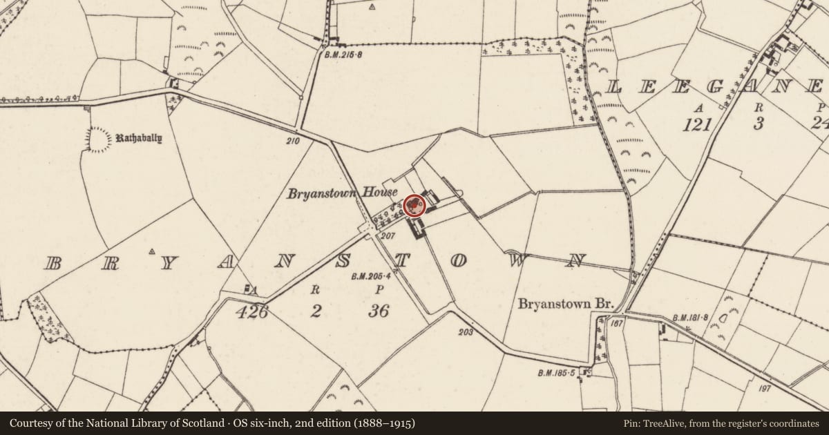 Ordnance Survey six-inch map, 2nd edition (1888–1915) covering the location of Castle - tower house, Bryanstown, County Wexford, with a pin at the register's coordinates