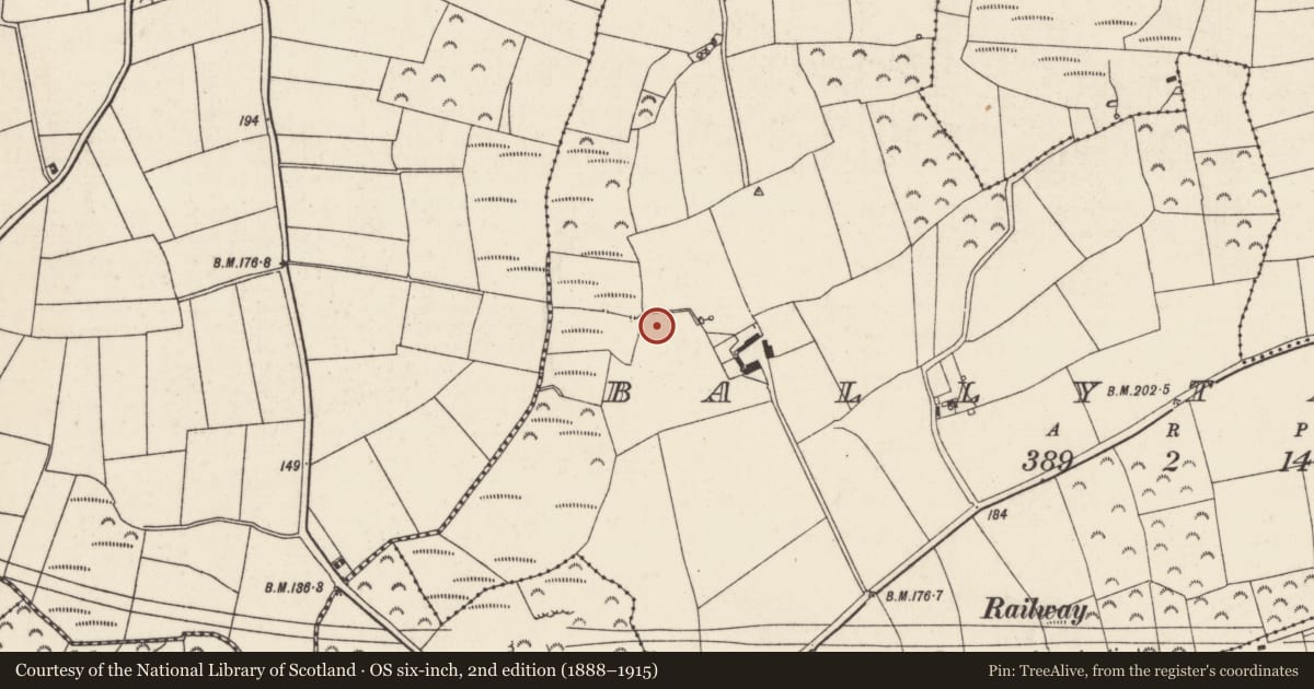 Ordnance Survey six-inch map, 2nd edition (1888–1915) covering the location of Ringfort - rath, Ballytarsna, County Wexford, with a pin at the register's coordinates