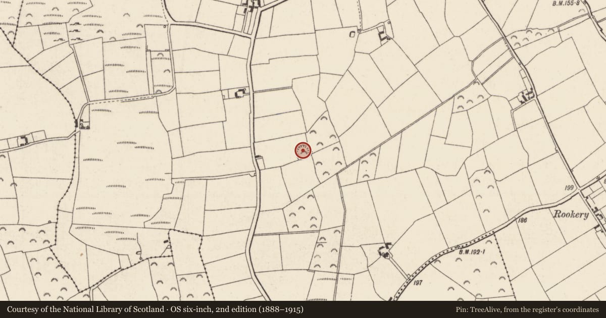 Ordnance Survey six-inch map, 2nd edition (1888–1915) covering the location of Ringfort - rath, Boley, County Wexford, with a pin at the register's coordinates