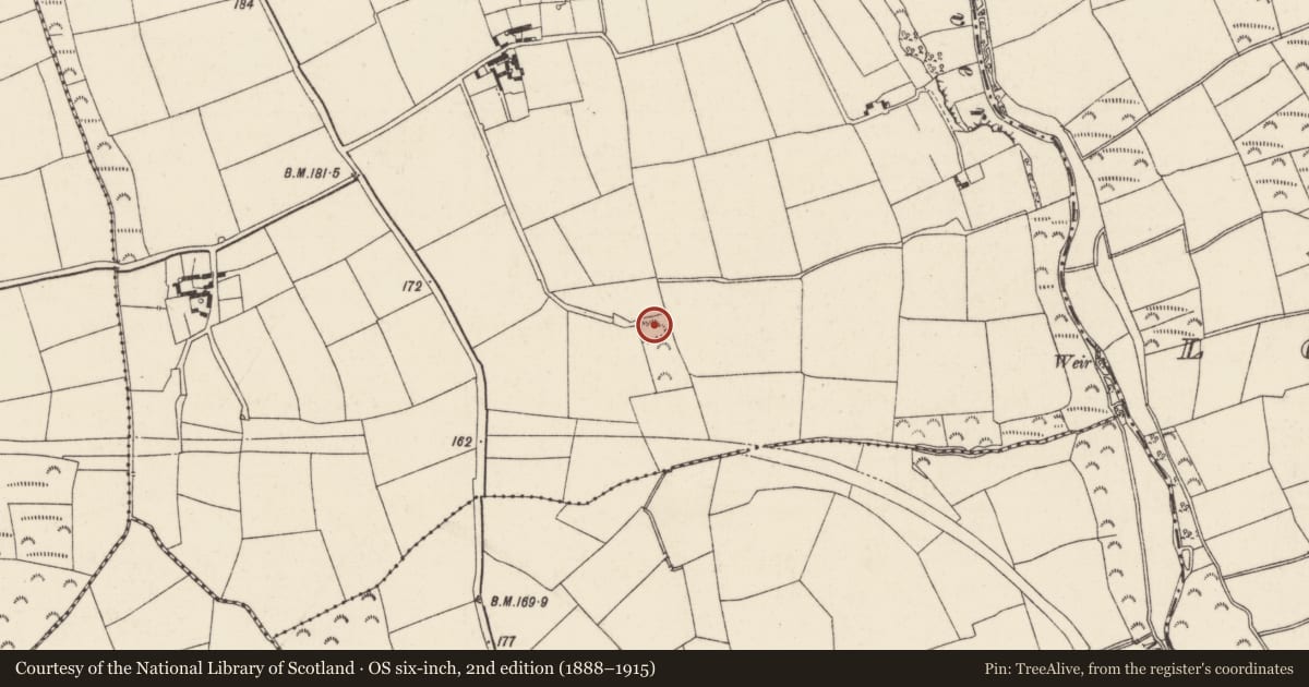 Ordnance Survey six-inch map, 2nd edition (1888–1915) covering the location of Moated site, Yoletown, County Wexford, with a pin at the register's coordinates