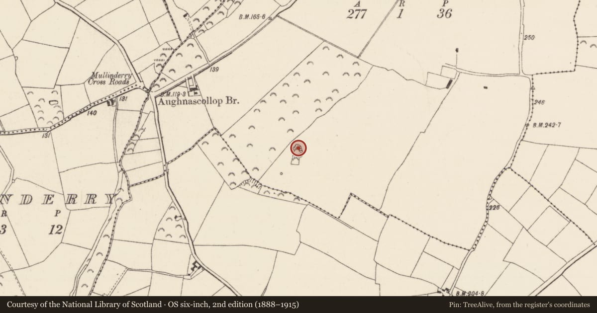 Ordnance Survey six-inch map, 2nd edition (1888–1915) covering the location of Ringfort - rath, Ballybrack, County Wexford, with a pin at the register's coordinates