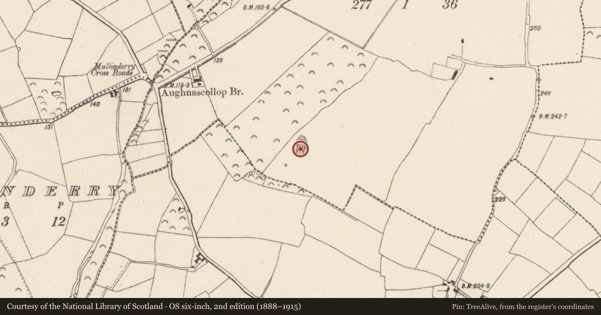 Ordnance Survey six-inch map, 2nd edition (1888–1915) covering the location of Enclosure, Ballybrack, County Wexford, with a pin at the register's coordinates