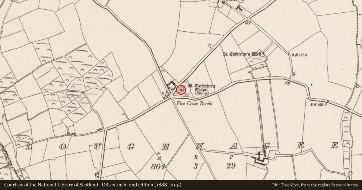 Ordnance Survey six-inch map, 2nd edition (1888–1915) covering the location of Church, Loughnageer, County Wexford, with a pin at the register's coordinates