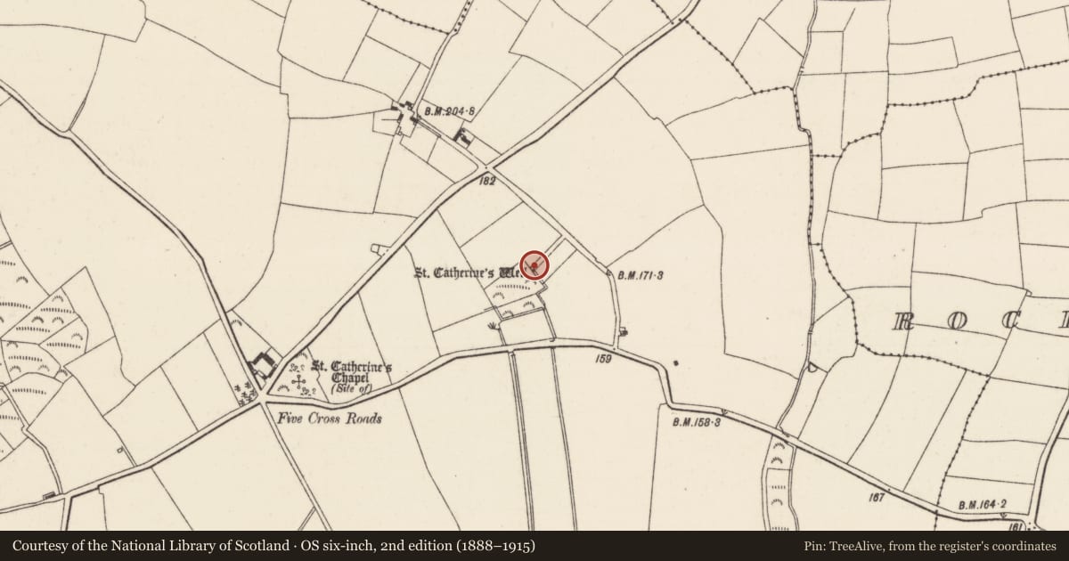 Ordnance Survey six-inch map, 2nd edition (1888–1915) covering the location of Ritual site - holy well, Loughnageer, County Wexford, with a pin at the register's coordinates