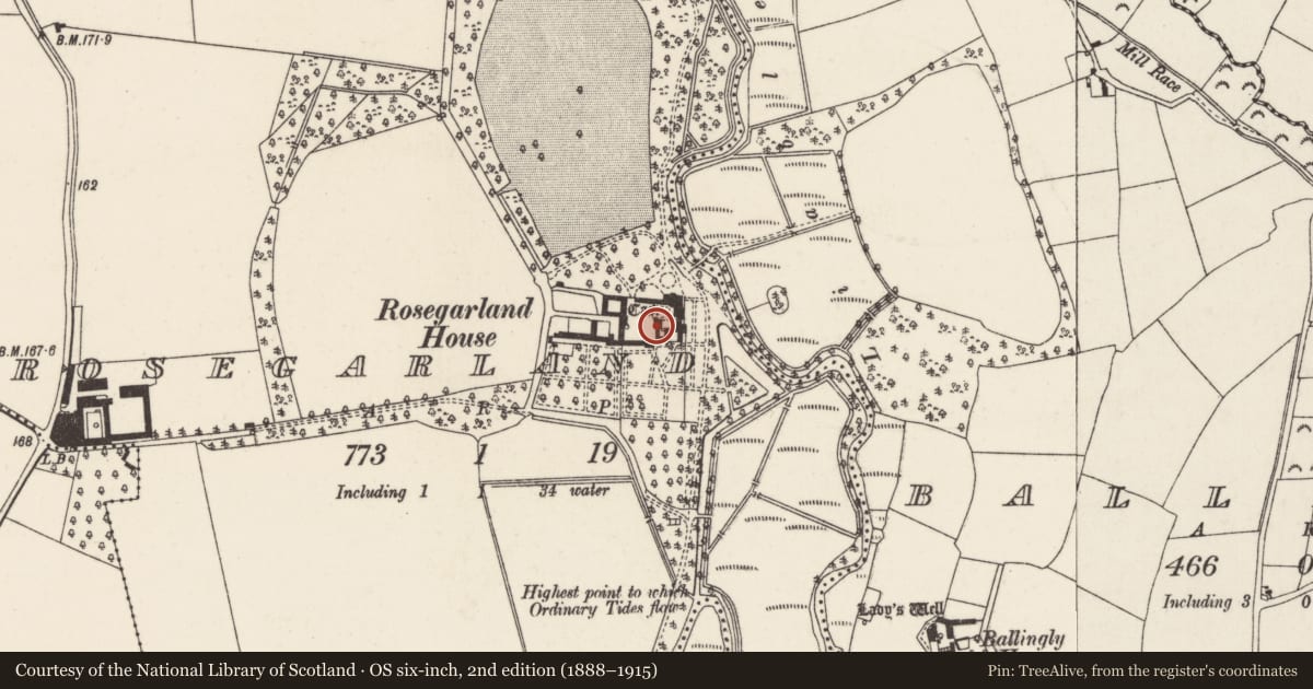 Ordnance Survey six-inch map, 2nd edition (1888–1915) covering the location of Castle - tower house, Rosegarland, County Wexford, with a pin at the register's coordinates