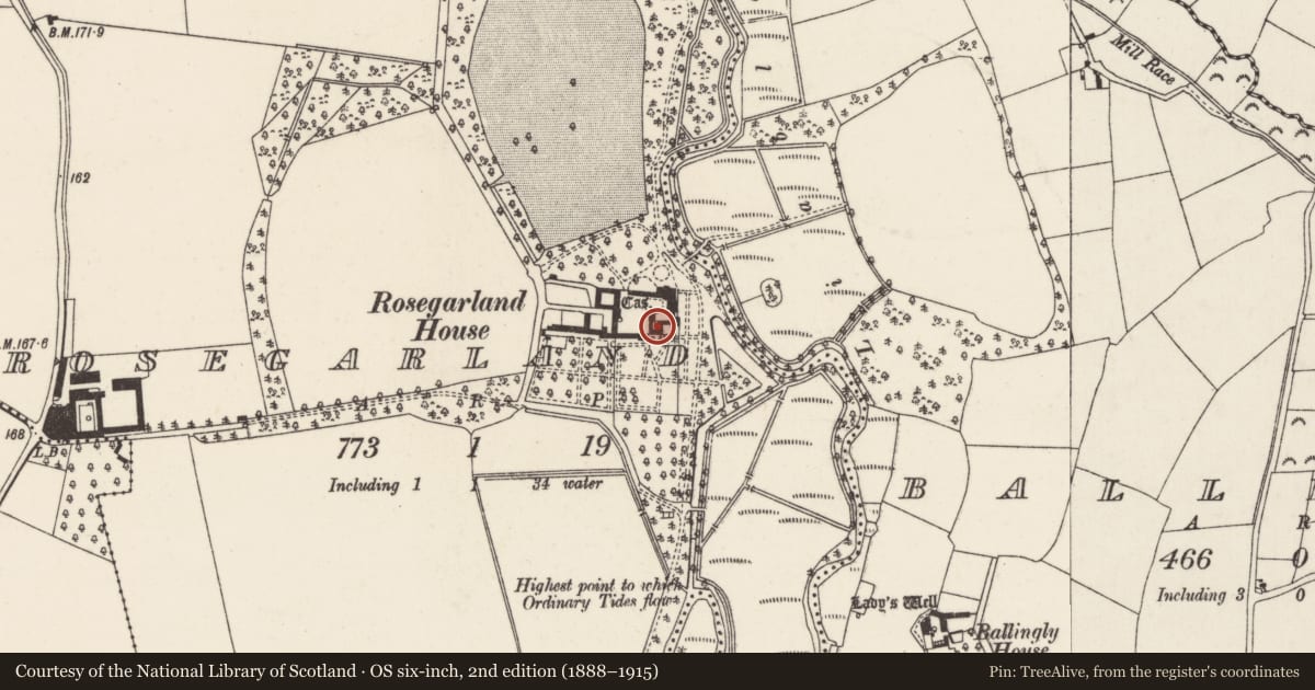 Ordnance Survey six-inch map, 2nd edition (1888–1915) covering the location of Bawn, Rosegarland, County Wexford, with a pin at the register's coordinates