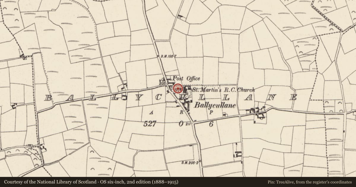 Ordnance Survey six-inch map, 2nd edition (1888–1915) covering the location of Church, Ballycullane, County Wexford, with a pin at the register's coordinates