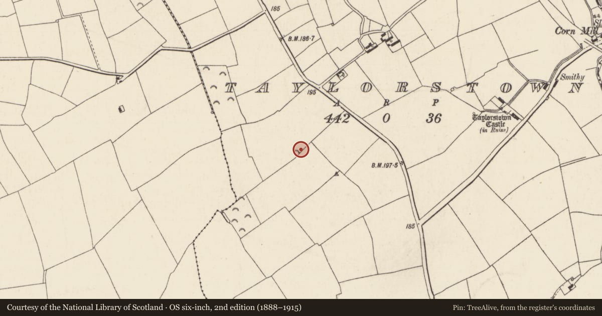 Ordnance Survey six-inch map, 2nd edition (1888–1915) covering the location of Ringfort - rath, Taylorstown, County Wexford, with a pin at the register's coordinates