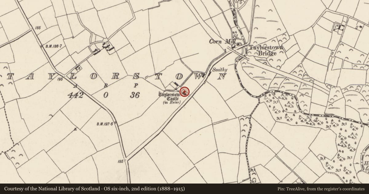 Ordnance Survey six-inch map, 2nd edition (1888–1915) covering the location of Castle - tower house, Taylorstown, County Wexford, with a pin at the register's coordinates