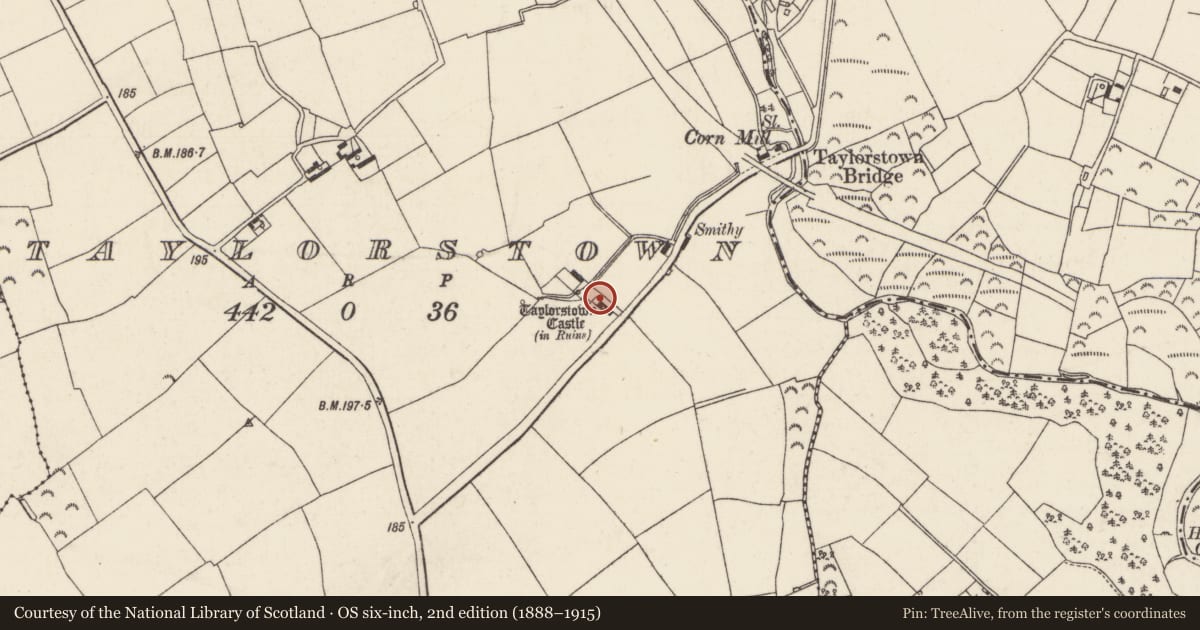 Ordnance Survey six-inch map, 2nd edition (1888–1915) covering the location of House - medieval, Taylorstown, County Wexford, with a pin at the register's coordinates