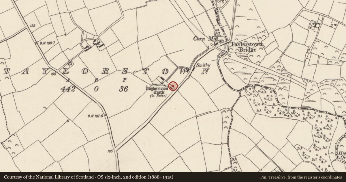 Ordnance Survey six-inch map, 2nd edition (1888–1915) covering the location of Bawn, Taylorstown, County Wexford, with a pin at the register's coordinates