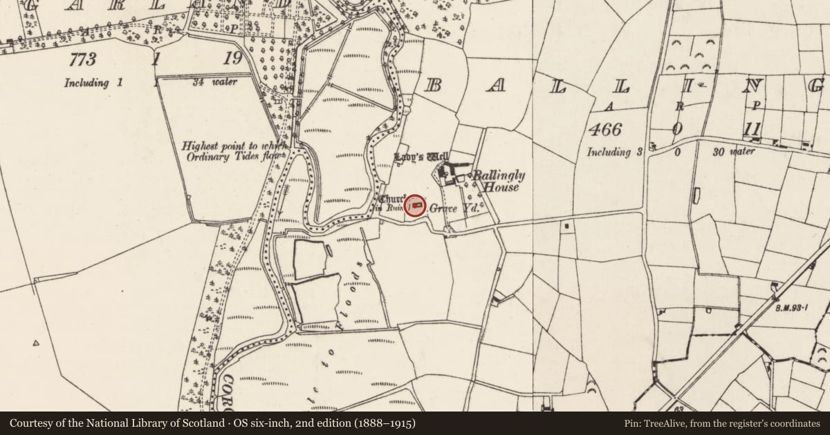 Ordnance Survey six-inch map, 2nd edition (1888–1915) covering the location of Church, Ballingly, County Wexford, with a pin at the register's coordinates