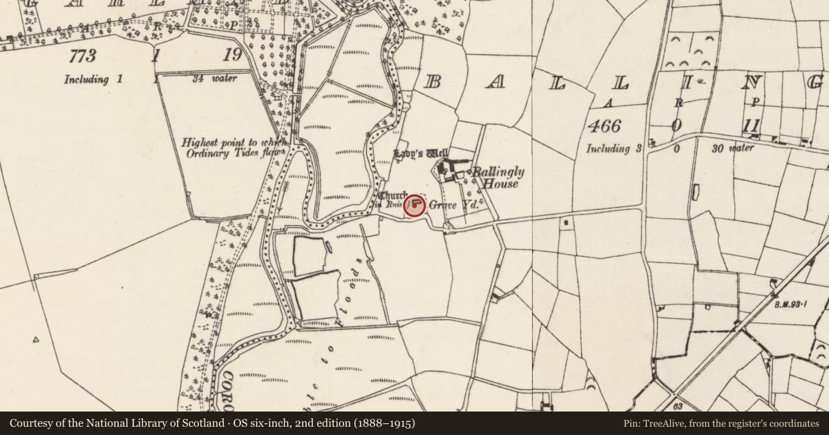 Ordnance Survey six-inch map, 2nd edition (1888–1915) covering the location of Graveyard, Ballingly, County Wexford, with a pin at the register's coordinates