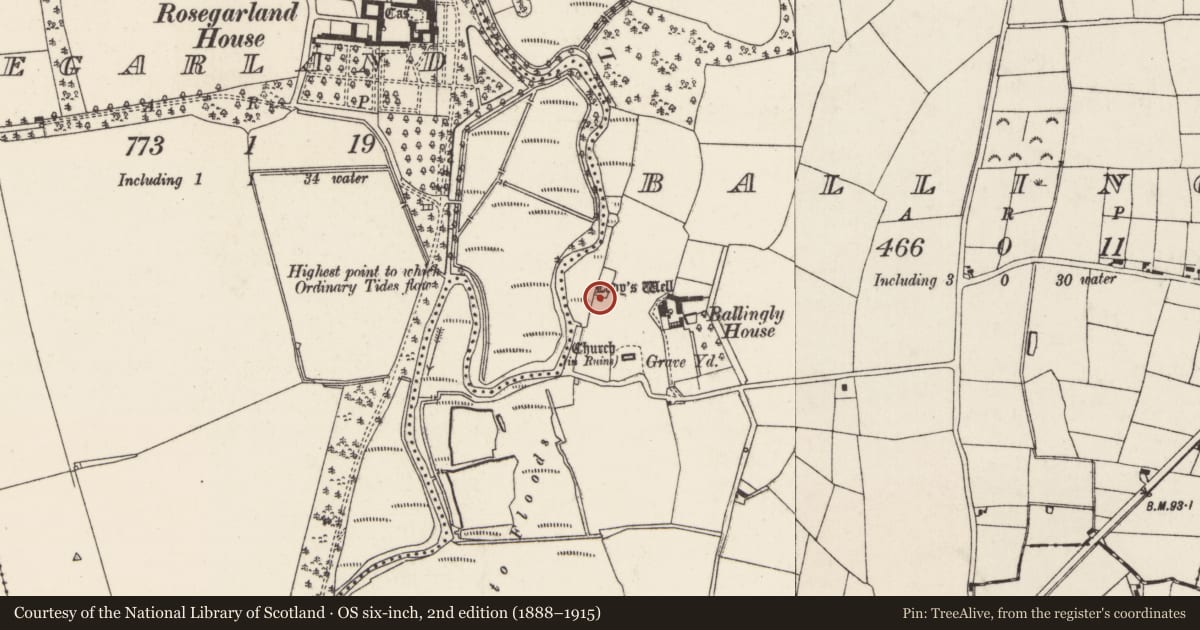 Ordnance Survey six-inch map, 2nd edition (1888–1915) covering the location of Ritual site - holy well, Ballingly, County Wexford, with a pin at the register's coordinates