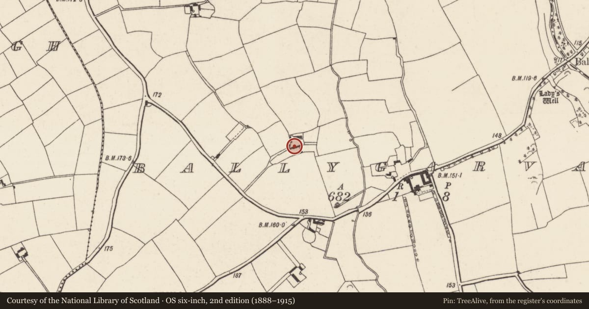 Ordnance Survey six-inch map, 2nd edition (1888–1915) covering the location of Castle - unclassified, Ballygarvan, County Wexford, with a pin at the register's coordinates
