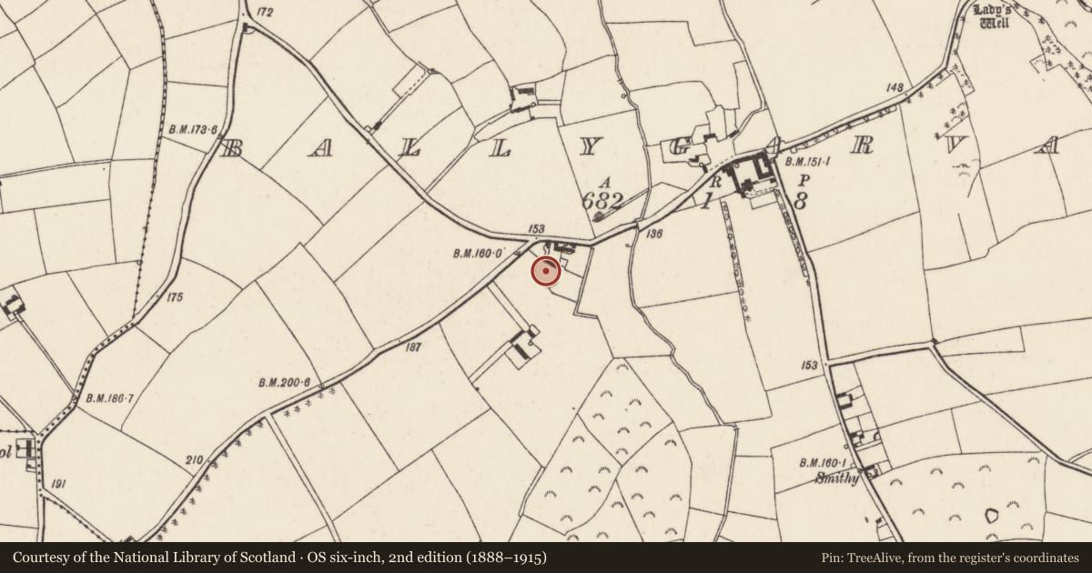Ordnance Survey six-inch map, 2nd edition (1888–1915) covering the location of Ringfort - rath, Ballygarvan, County Wexford, with a pin at the register's coordinates