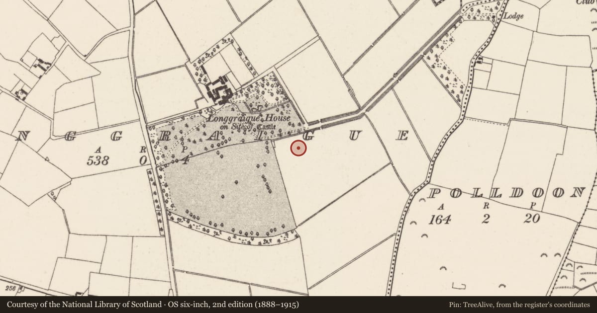 Ordnance Survey six-inch map, 2nd edition (1888–1915) covering the location of Burnt mound, Longgraigue, County Wexford, with a pin at the register's coordinates