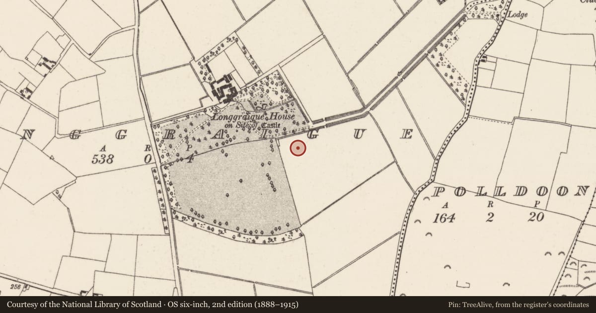 Ordnance Survey six-inch map, 2nd edition (1888–1915) covering the location of Burnt mound, Longgraigue, County Wexford, with a pin at the register's coordinates