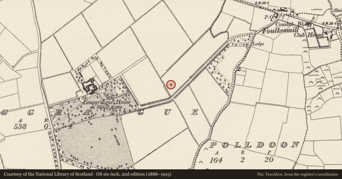 Ordnance Survey six-inch map, 2nd edition (1888–1915) covering the location of Burnt mound, Longgraigue, County Wexford, with a pin at the register's coordinates