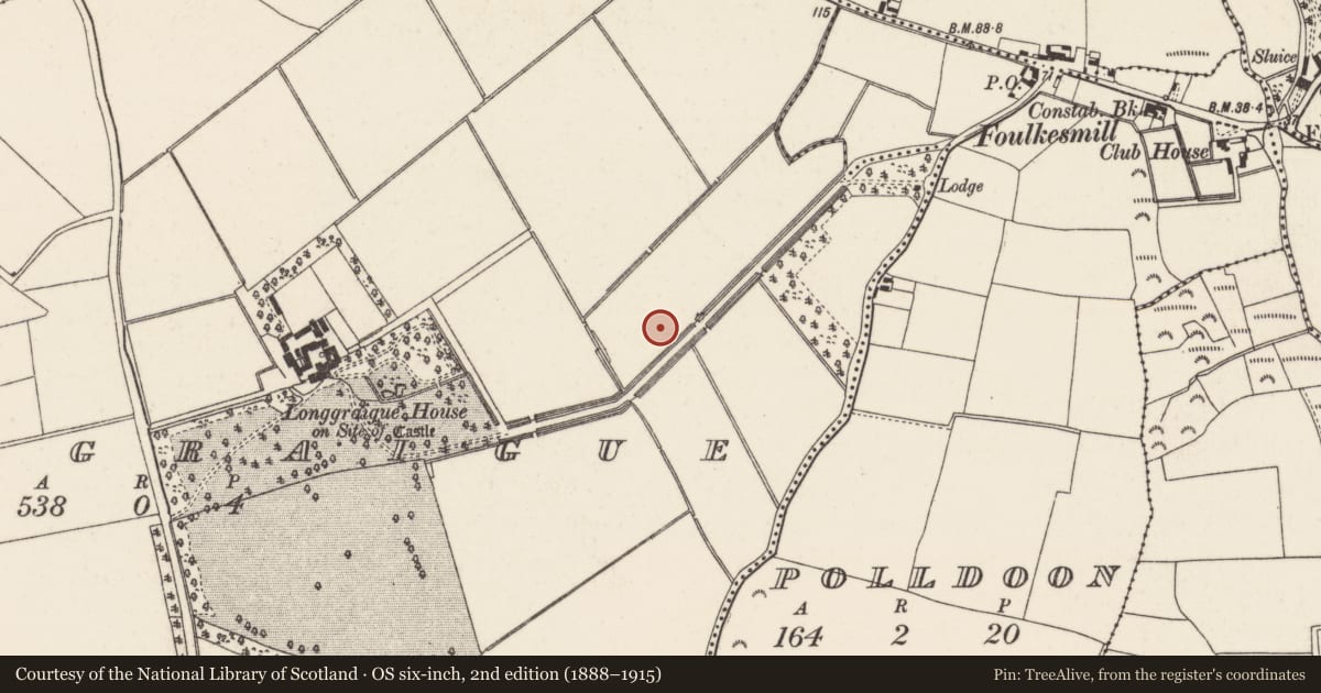 Ordnance Survey six-inch map, 2nd edition (1888–1915) covering the location of Burnt mound, Longgraigue, County Wexford, with a pin at the register's coordinates