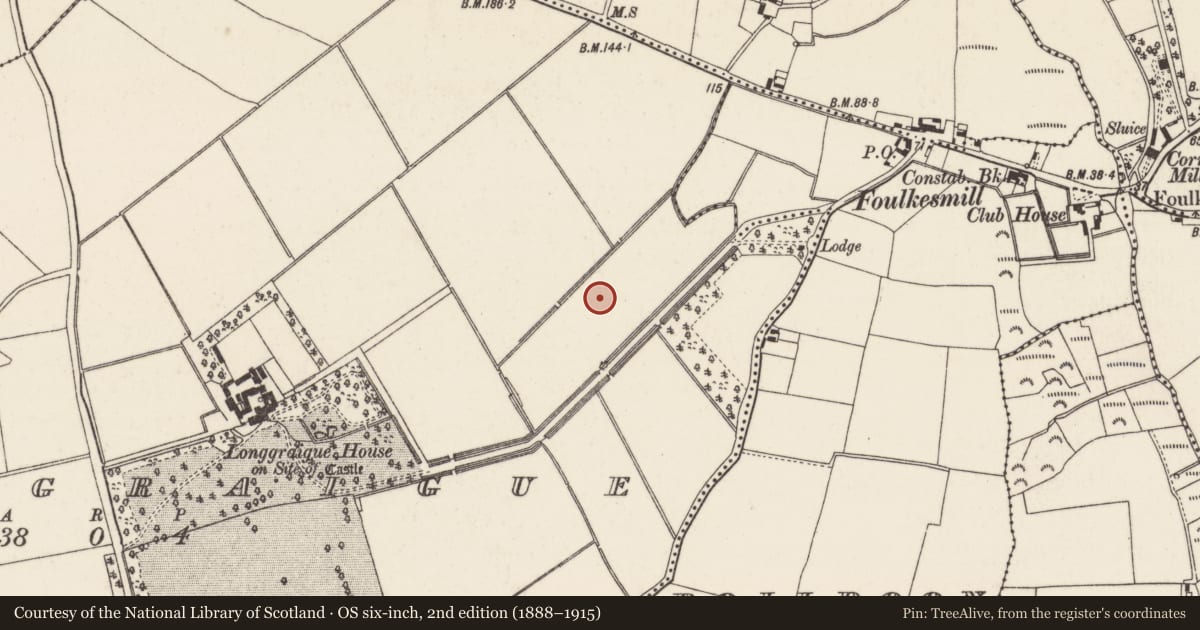 Ordnance Survey six-inch map, 2nd edition (1888–1915) covering the location of Burnt mound, Longgraigue, County Wexford, with a pin at the register's coordinates