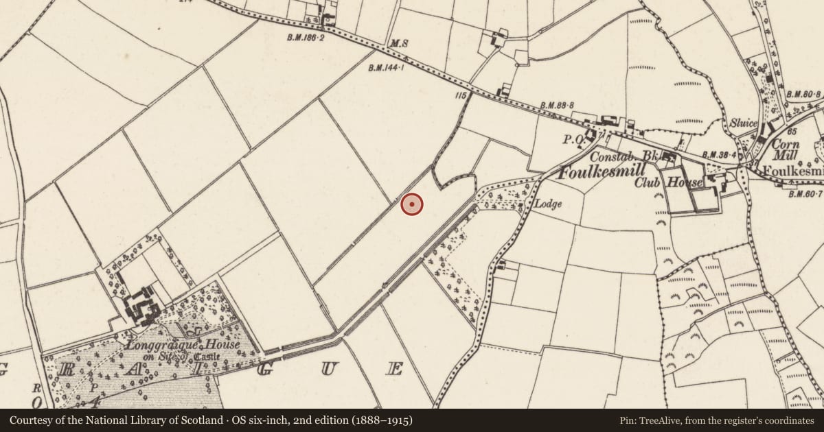 Ordnance Survey six-inch map, 2nd edition (1888–1915) covering the location of Burnt mound, Longgraigue, County Wexford, with a pin at the register's coordinates