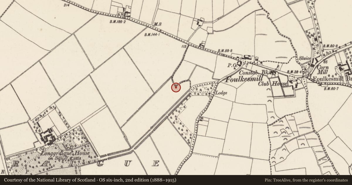 Ordnance Survey six-inch map, 2nd edition (1888–1915) covering the location of Burnt mound, Longgraigue, County Wexford, with a pin at the register's coordinates
