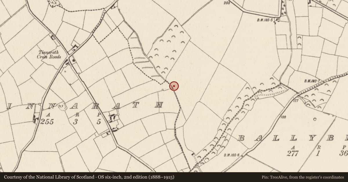 Ordnance Survey six-inch map, 2nd edition (1888–1915) covering the location of Burnt mound, Bryanstown, County Wexford, with a pin at the register's coordinates