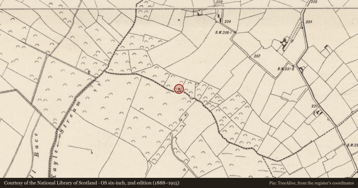 Ordnance Survey six-inch map, 2nd edition (1888–1915) covering the location of Water mill - horizontal-wheeled, Coolboy, County Wexford, with a pin at the register's coordinates