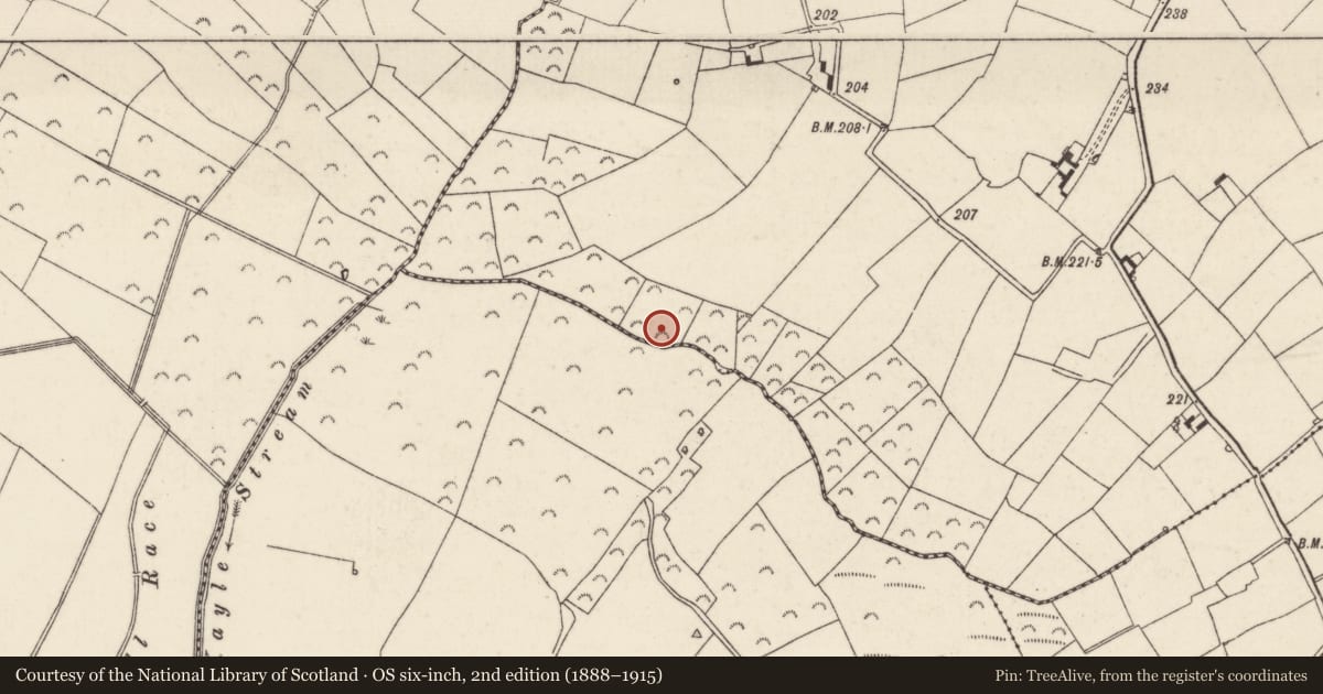 Ordnance Survey six-inch map, 2nd edition (1888–1915) covering the location of Burnt mound, Coolboy, County Wexford, with a pin at the register's coordinates