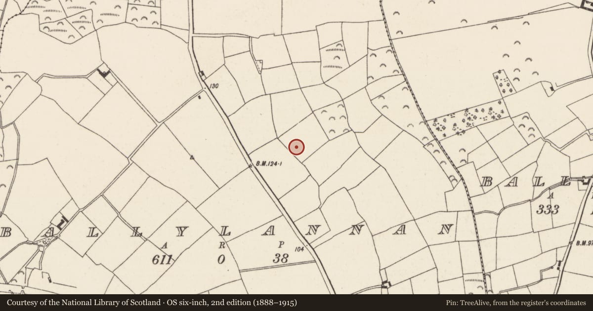 Ordnance Survey six-inch map, 2nd edition (1888–1915) covering the location of Fulacht fia, Ballylannan, County Wexford, with a pin at the register's coordinates