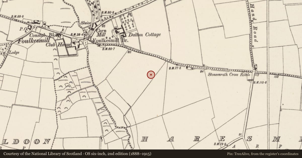 Ordnance Survey six-inch map, 2nd edition (1888–1915) covering the location of Ringfort - rath, Haresmead, County Wexford, with a pin at the register's coordinates