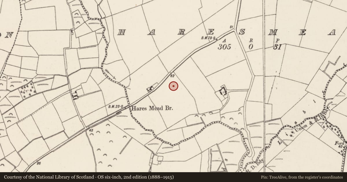 Ordnance Survey six-inch map, 2nd edition (1888–1915) covering the location of Enclosure, Haresmead, County Wexford, with a pin at the register's coordinates