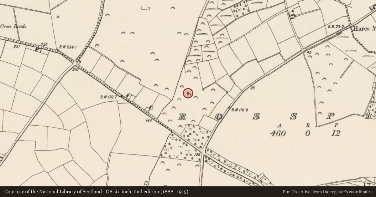 Ordnance Survey six-inch map, 2nd edition (1888–1915) covering the location of Burnt mound, Rosspile, County Wexford, with a pin at the register's coordinates