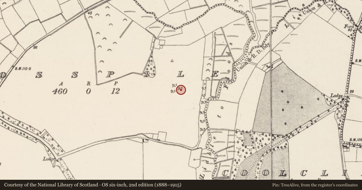 Ordnance Survey six-inch map, 2nd edition (1888–1915) covering the location of Ringfort - rath, Rosspile, County Wexford, with a pin at the register's coordinates