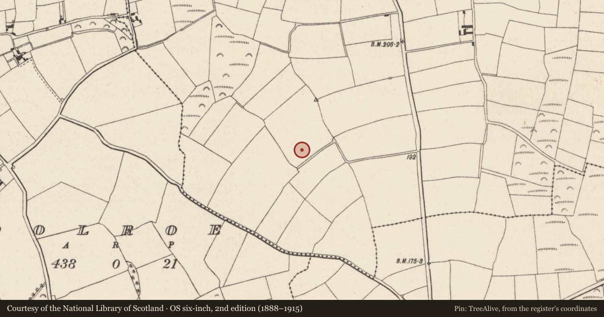 Ordnance Survey six-inch map, 2nd edition (1888–1915) covering the location of Ringfort - rath, Ballycullane, County Wexford, with a pin at the register's coordinates