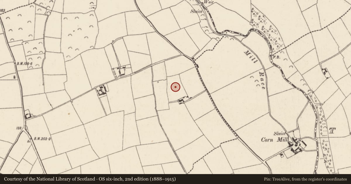 Ordnance Survey six-inch map, 2nd edition (1888–1915) covering the location of Road - road/trackway, Boley, County Wexford, with a pin at the register's coordinates