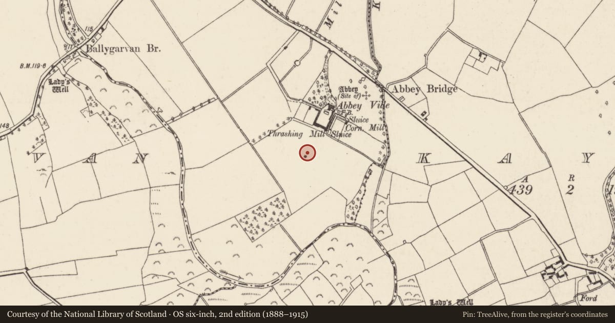 Ordnance Survey six-inch map, 2nd edition (1888–1915) covering the location of Structure, Kilbraney, County Wexford, with a pin at the register's coordinates