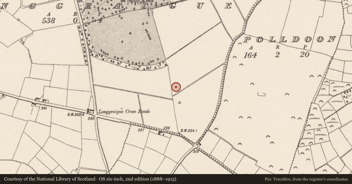 Ordnance Survey six-inch map, 2nd edition (1888–1915) covering the location of Field boundary, Longgraigue, County Wexford, with a pin at the register's coordinates