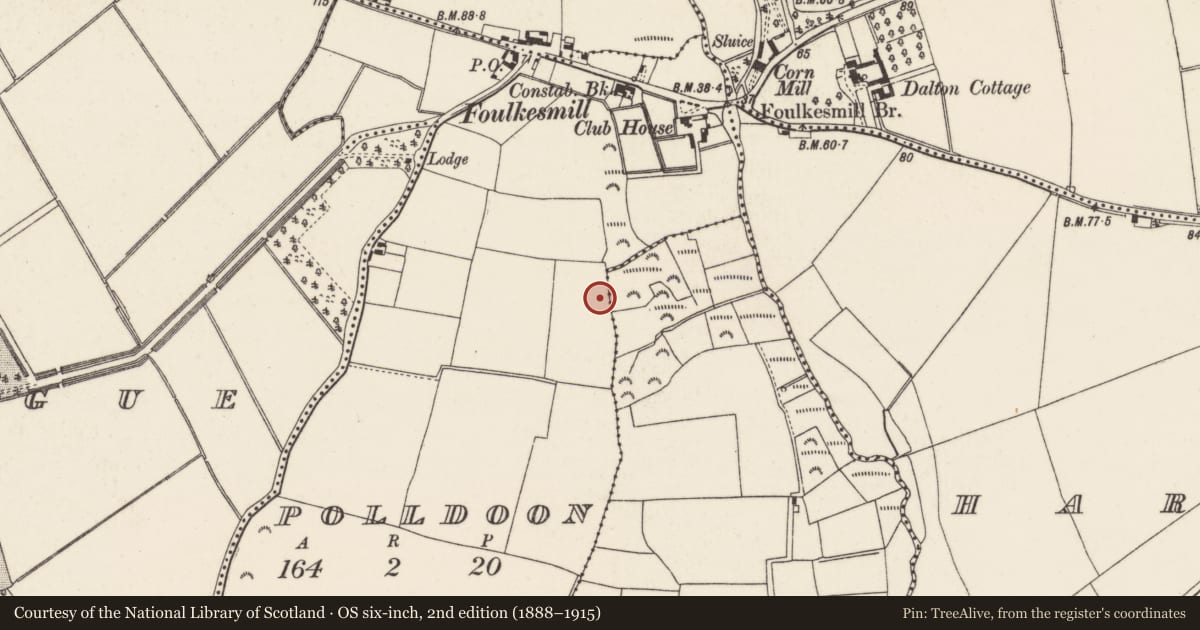 Ordnance Survey six-inch map, 2nd edition (1888–1915) covering the location of Ringfort - rath, Polldoon, County Wexford, with a pin at the register's coordinates