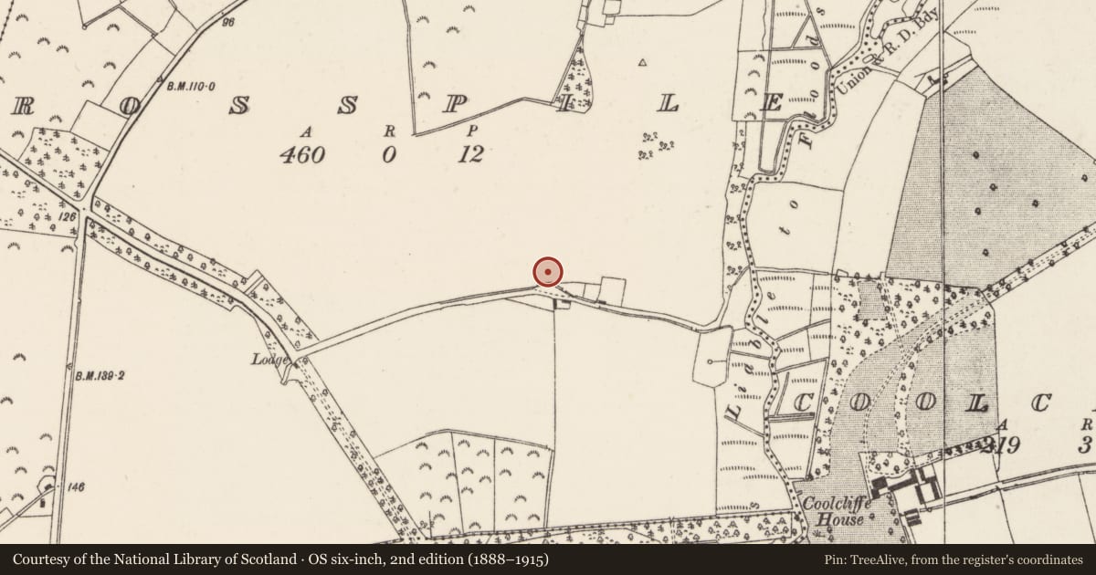 Ordnance Survey six-inch map, 2nd edition (1888–1915) covering the location of Moated site, Rosspile, County Wexford, with a pin at the register's coordinates