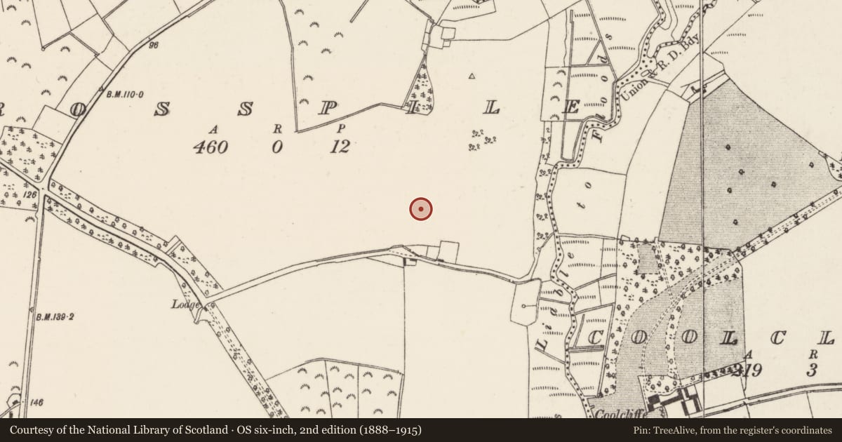 Ordnance Survey six-inch map, 2nd edition (1888–1915) covering the location of Field system, Rosspile, County Wexford, with a pin at the register's coordinates