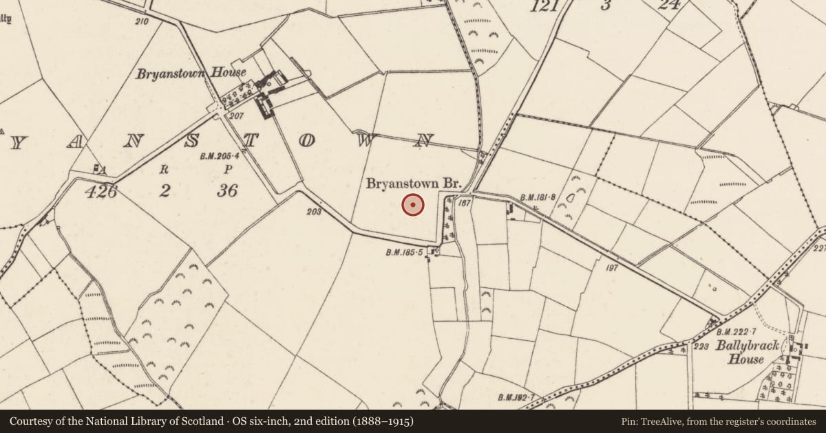 Ordnance Survey six-inch map, 2nd edition (1888–1915) covering the location of Ringfort - rath, Bryanstown, County Wexford, with a pin at the register's coordinates