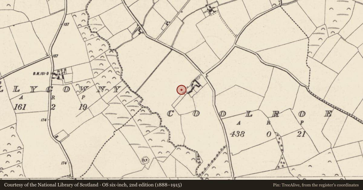 Ordnance Survey six-inch map, 2nd edition (1888–1915) covering the location of Ringfort - rath, Coolroe, County Wexford, with a pin at the register's coordinates