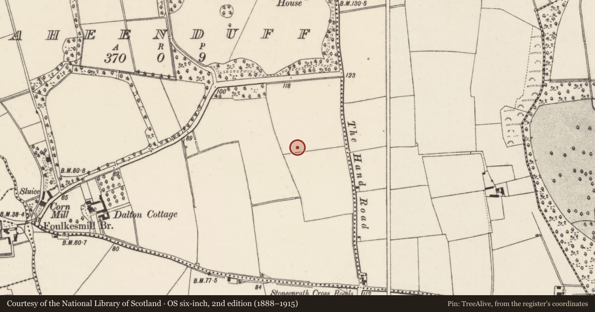 Ordnance Survey six-inch map, 2nd edition (1888–1915) covering the location of Ring-ditch, Raheenduff, County Wexford, with a pin at the register's coordinates