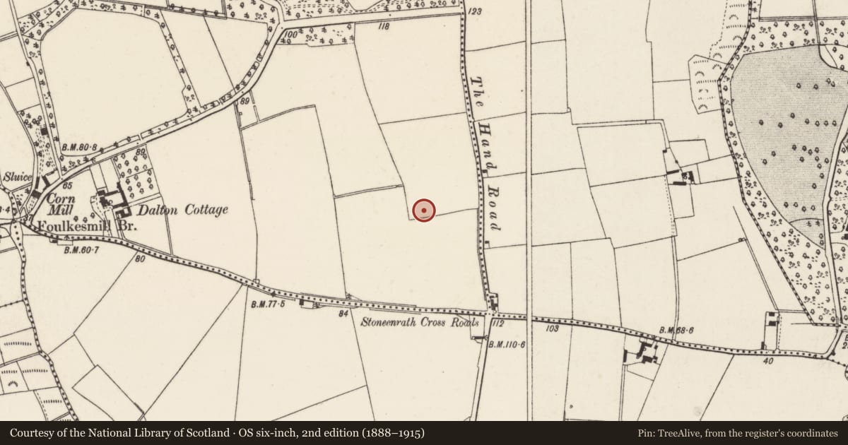 Ordnance Survey six-inch map, 2nd edition (1888–1915) covering the location of Ring-ditch, Raheenduff, County Wexford, with a pin at the register's coordinates