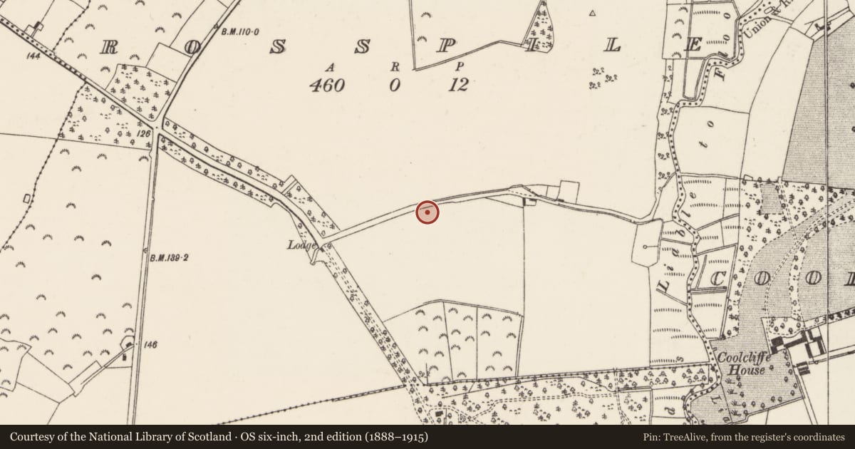 Ordnance Survey six-inch map, 2nd edition (1888–1915) covering the location of Burnt mound, Rosspile, County Wexford, with a pin at the register's coordinates